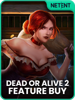 Dead or Alive 2 Feature Buy