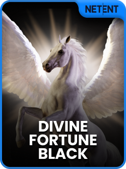 Divine Fortune Black