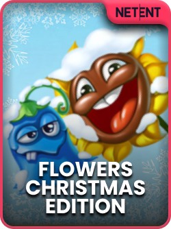 Flowers Christmas Edition