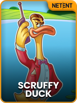 Scruffy Duck