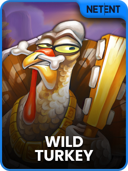 Wild Turkey