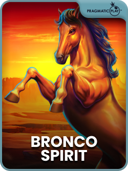 Bronco Spirit
