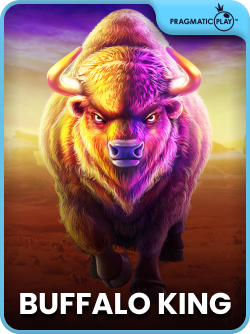 Buffalo King