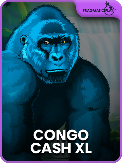 Congo Cash XL