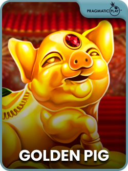Golden Pig