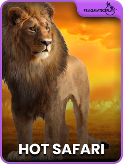 Hot Safari